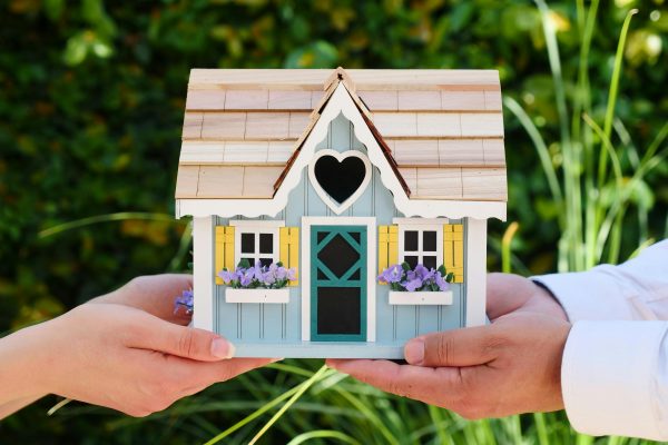 U.S. Foreclosure Property Buying Guide: From Auction to Ownership